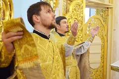 Новый Год 2017 (10)