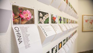 Flower Charts Sorting the Names of Guantánamo Detainees by Country