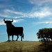 PROGRAMA 21 LOS TOROS DE JAÉN EN LA ONDA episode artwork
