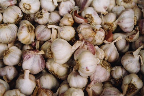 Garlic (by bookgrl)