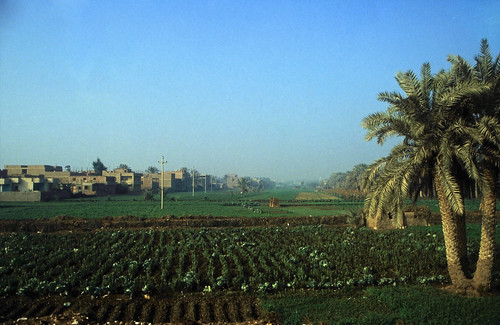 Ägypten 1999 (586) Kairo: Fahrt nach Memphis • <a style="font-size:0.8em;" href="http://www.flickr.com/photos/69570948@N04/31962971535/" target="_blank">Auf Flickr ansehen</a>
