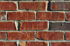 Anglų lietuvių žodynas. Žodis walls reiškia sienos lietuviškai.
