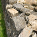 Stone Wall • <a style="font-size:0.8em;" href="http://www.flickr.com/photos/26088968@N02/18816572978/" target="_blank">View on Flickr</a>