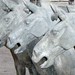 Xi'an horses