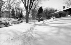 View of an unshoveled sidewalk near 2377 Elm Street in the South Park Hill neighborhood of Denver, Colorado after the 1982 snowstorm. (Denver Public Library Digital Collection)
