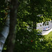 BimmerWorld Racing BMW F30 Lime Rock Park Friday 2015 32 • <a style="font-size:0.8em;" href="http://www.flickr.com/photos/46951417@N06/20062417352/" target="_blank">View on Flickr</a>