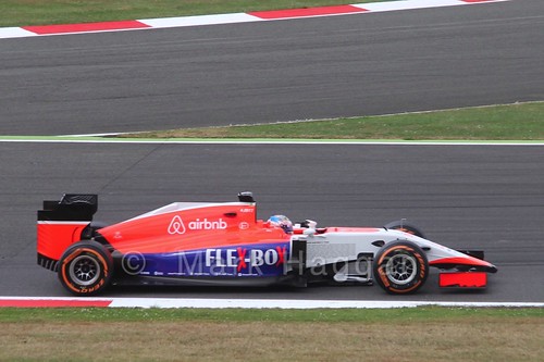 Will Stevens in Free Practice 3 for the 2015 British Grand Prix at Silverstone