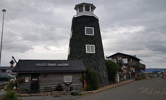 The Salty Dawg Saloon