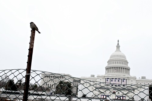 Congress by jacobresor, on Flickr