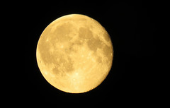 Anglų lietuvių žodynas. Žodis moon reiškia n mėnulis; to cry for the moon norėti negalimo; once in a blue moon labai retai; many moons ago labai seniai lietuviškai.