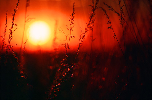 sunset_grain_walla_walla.jpg