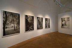 Landschaft: Transformation einer Idee @ Neue Galerie Graz