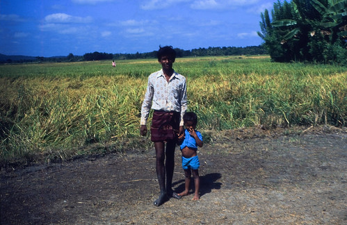 Sri Lanka 1984 (08) • <a style="font-size:0.8em;" href="http://www.flickr.com/photos/69570948@N04/18959968804/" target="_blank">Auf Flickr ansehen</a>