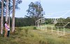 Lot 218, Royal Ave, Medowie NSW
