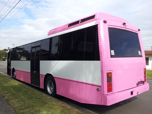 Pink Party Bus - 50 Seater