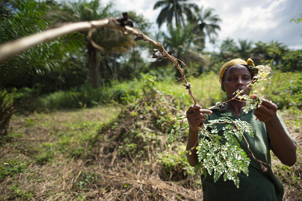 Guinea - Rural Women’s Cooperative Gener by UN Women Gallery, on Flickr