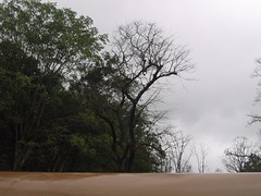 Kollibacchalu Dam -Malenadu Heavy Rain Effects Photography By Chinmaya M.Rao (52)
