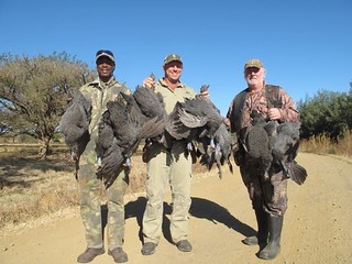 South Africa Bird Hunting 26