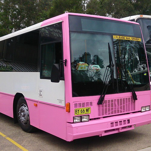 Taken a photo with our pink party bus? Share it on your timeline or our page with #PinkPartyBus to enter our photo contest for your chance to win $100 Party Shuttle voucher.