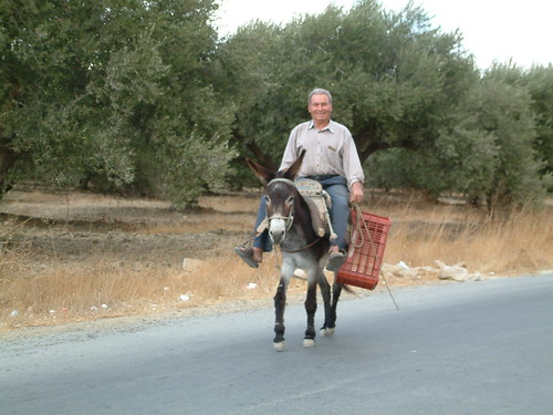 Peasant on his donkey