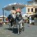 Horse wearing a red hat in Chania