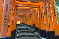 Big torii at Fushimi Inari Shrine