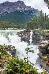 Stopping to enjoy the "natural" beauty of Athabasca Falls.