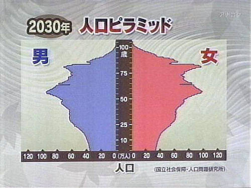 下のグラフは、2030年の人口ピラミッド...