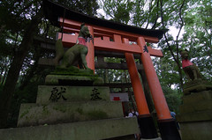 Foxes at Fushimi Inari Shrine