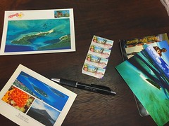 Writing a few postcards!