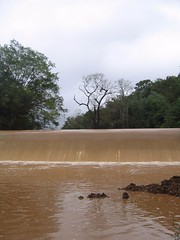 Kollibacchalu Dam -Malenadu Heavy Rain Effects Photography By Chinmaya M.Rao (91)