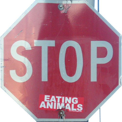 stop eating animals©Flickr