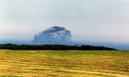 Bass Rock, Firth of Forth, Scotland