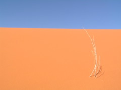 Straight dune