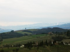 Torrechiara Landscape