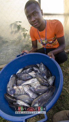 chambo fisheries • <a style="font-size:0.8em;" href="http://www.flickr.com/photos/132148455@N06/19100566101/" target="_blank">View on Flickr</a>