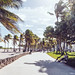 south florida road trip → florida city → key west → naples → everglades → fort myers → sanibal island → fort pierce → miami beach