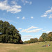 Long Meadow, Prospect Park • <a style="font-size:0.8em;" href="http://www.flickr.com/photos/124925518@N04/19441563463/" target="_blank">View on Flickr</a>