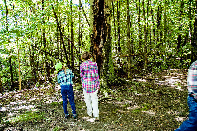 Kryway Family Ecotour - Morgan-Monroe State Forest - August 7, 2015