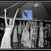 Bride throwing cat • <a style="font-size:0.8em;" href="http://www.flickr.com/photos/131611274@N05/18536371415/" target="_blank">View on Flickr</a>