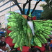 Carnival procession (Porlamar; slightly blurred)