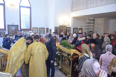 Спиридона_16 (25)