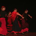 III Festival de Flamenco y Sevillanas • <a style="font-size:0.8em;" href="http://www.flickr.com/photos/95967098@N05/19383584990/" target="_blank">View on Flickr</a>