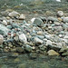 Gravel bar in Swiftcurrent Creek (just downstream from Boulder Creek confluence, west of the northern end of Lower Saint Mary Lake, Glacier County, Montana, USA) 1