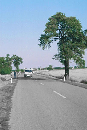 Czech Road