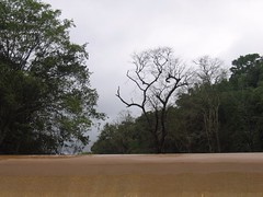 Kollibacchalu Dam -Malenadu Heavy Rain Effects Photography By Chinmaya M.Rao (85)