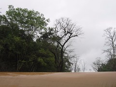 Kollibacchalu Dam -Malenadu Heavy Rain Effects Photography By Chinmaya M.Rao (60)