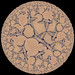 hummingbirdtiling • <a style="font-size:0.8em;" href="http://www.flickr.com/photos/127056045@N03/19209471513/" target="_blank">View on Flickr</a>