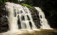 Freeflow -  Abbey Falls, Coorg, India