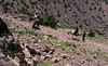 05.2015 Marokko_Toubkal summit & desert adventure (57) • <a style="font-size:0.8em;" href="http://www.flickr.com/photos/116186162@N02/18367169056/" target="_blank">View on Flickr</a>